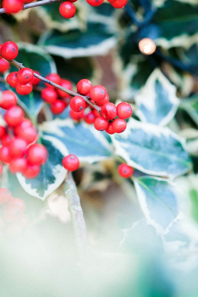 How to have a festive Christmas party 1