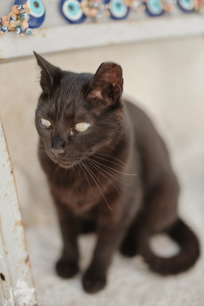 Santorini day after JC 29