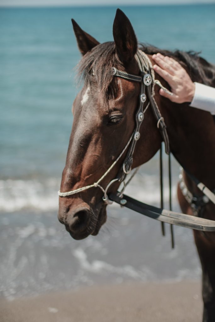 Santorini day after JC 7