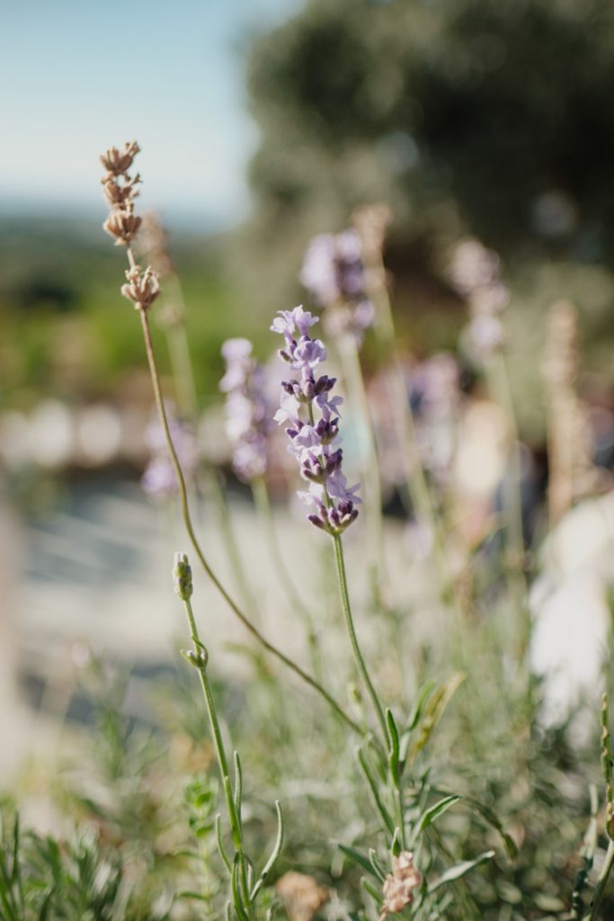 Rethymno Crete Persian Ceremony wedding photography 119