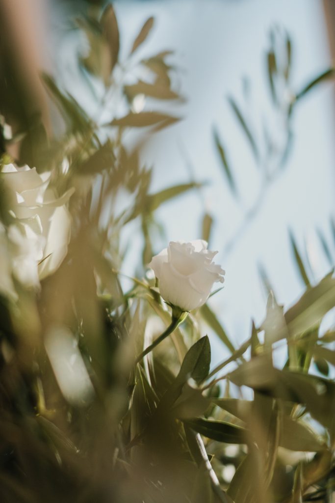 Twelve Events Myriam and Majed wedding at Island Athens Riviera 19