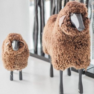 DSCF0656 1 e1637060582526