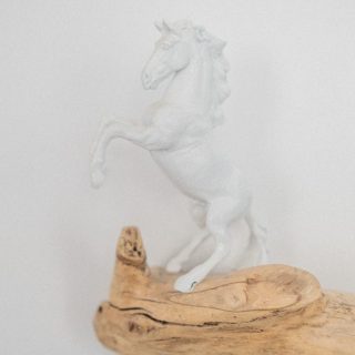 DSCF0772 e1637060418499