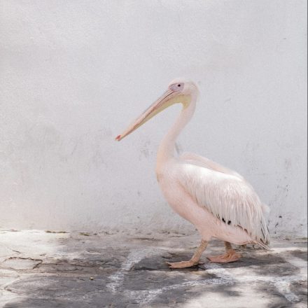 DSCF2561 e1635798704474