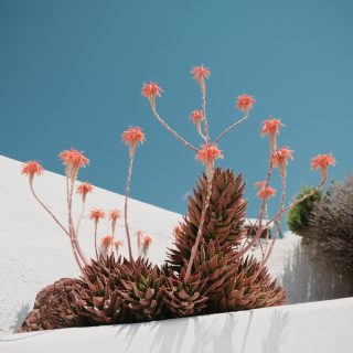 Wedding at Santorini J and C 3