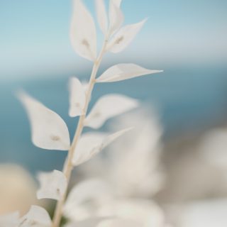 Wedding at Santorini J and C 5